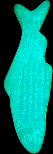 negative miracle fish